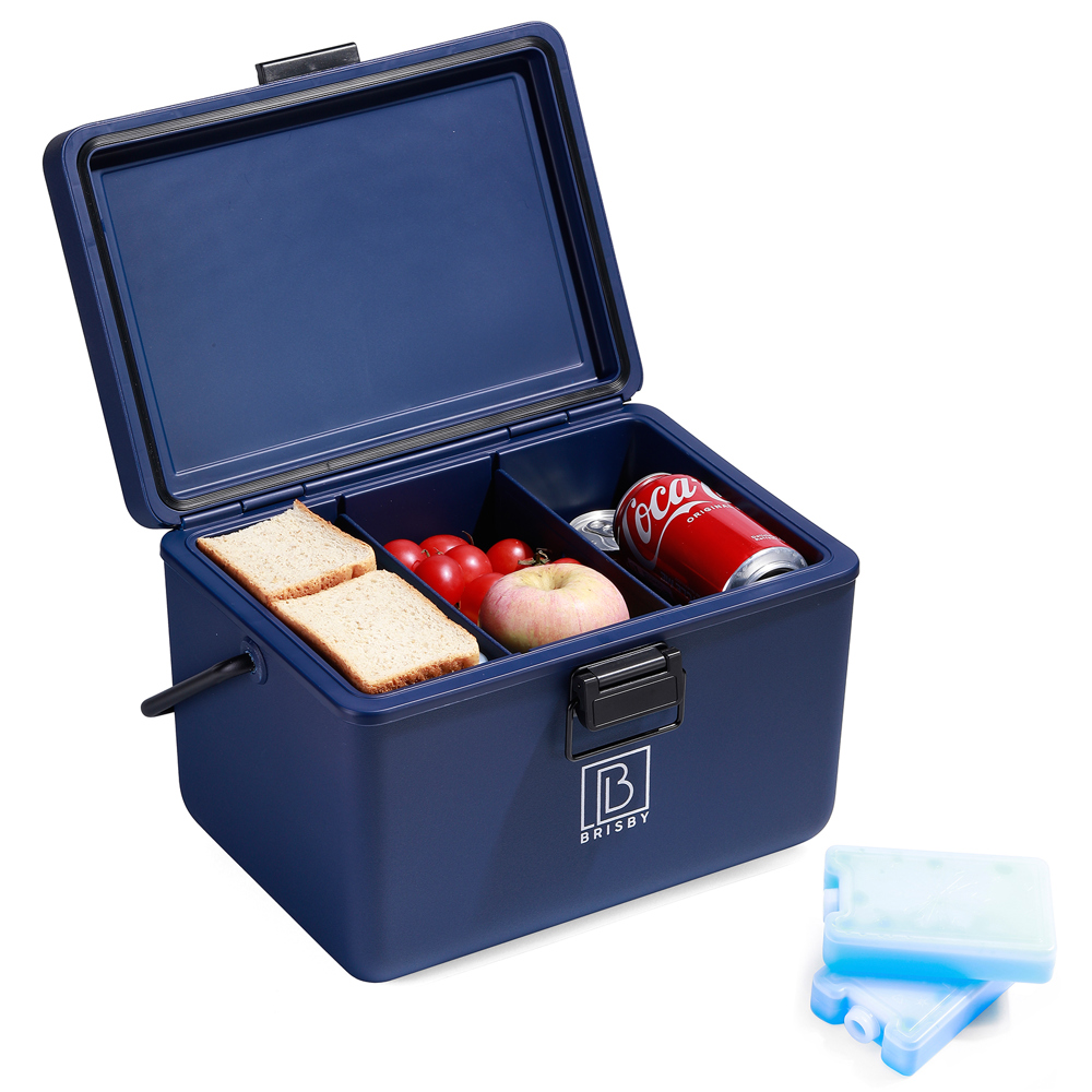Brisby 12L Koelbox – Innovatief & Personaliseerbaar