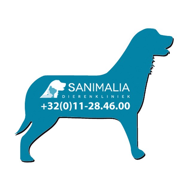 Full Color Bedrukte Koelkastmagneten 135 cm2