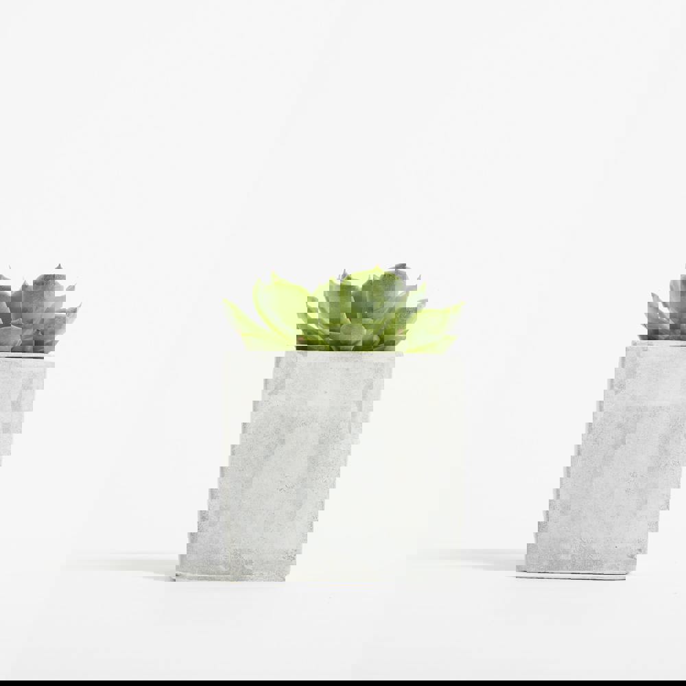 Betonnen Hey Pot - Plant - Grijs