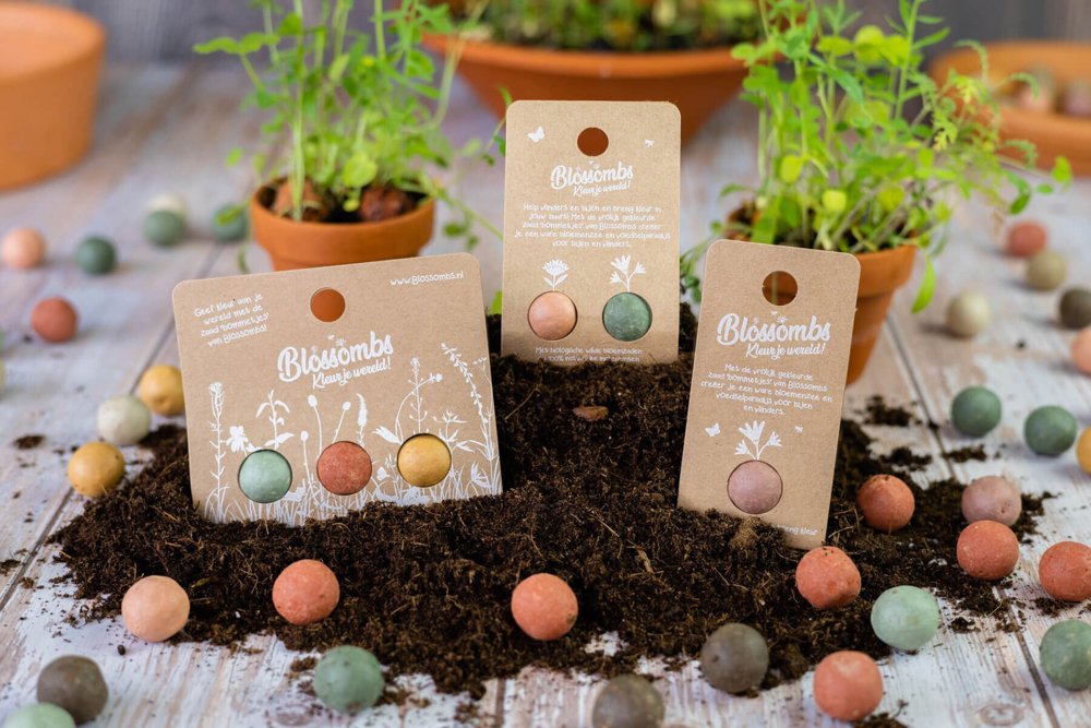 Blister - 1 stuk - Original