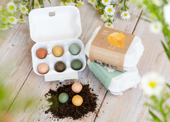 Eggbox - 6 stuks - Overige Thema's