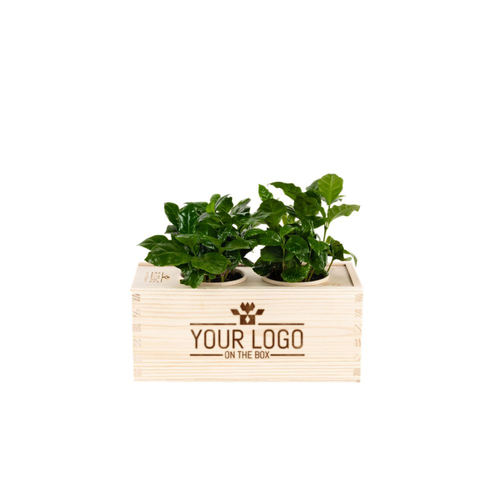 Coffee out of the Box - M