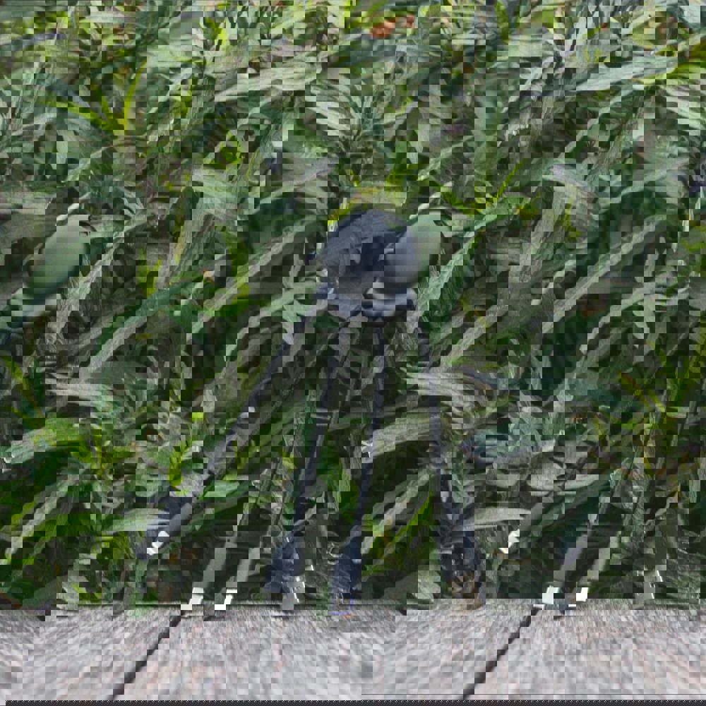 2087 | Xoopar Eco Octopus Oplaadkabel